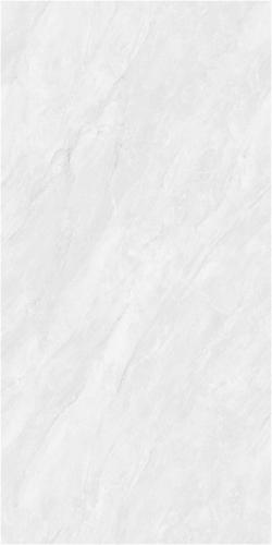 YT6201_04